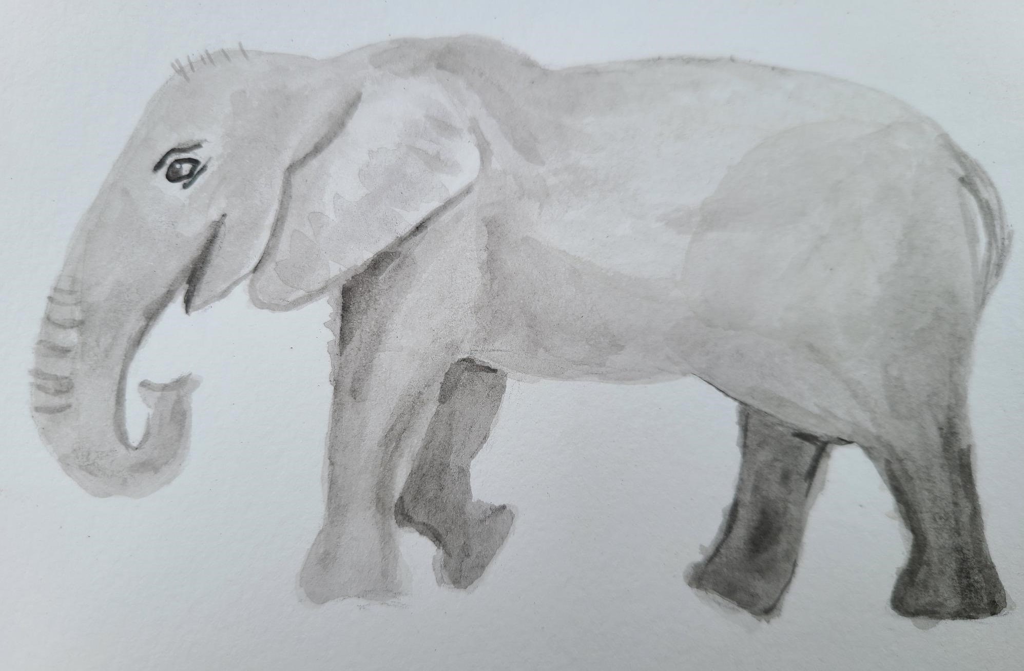 elephant1 (2)